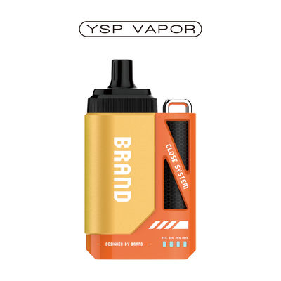 Sigaretta elettronica 6000 fiocchi Vape Pod System 10ml Rechargeable Pod System