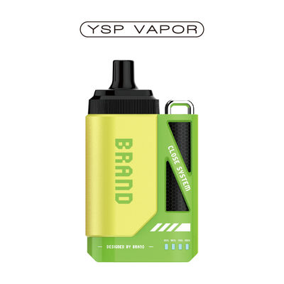 Sigaretta elettronica 6000 fiocchi Vape Pod System 10ml Rechargeable Pod System