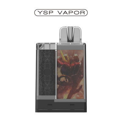 1.2 Ohm 6000 Puffs Pod System 10 ml Kit di Vape Pod ricaricabili